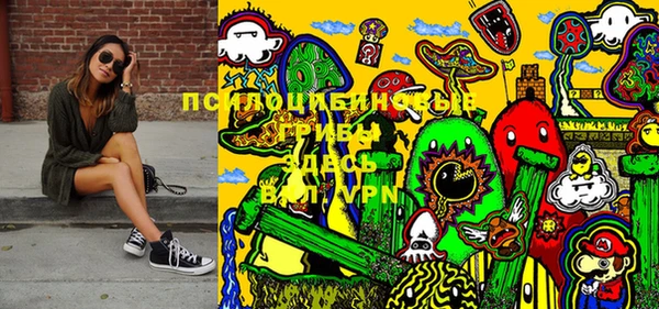 мдпв Абдулино