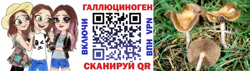 Галлюциногенные грибы GOLDEN TEACHER  наркота  Электроугли 
